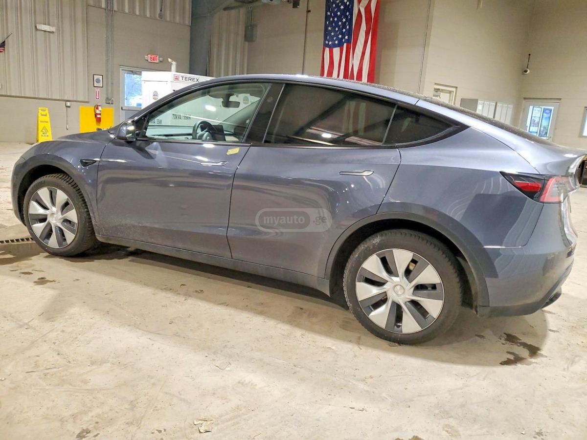 Tesla Dual Motor — миниатюра 3