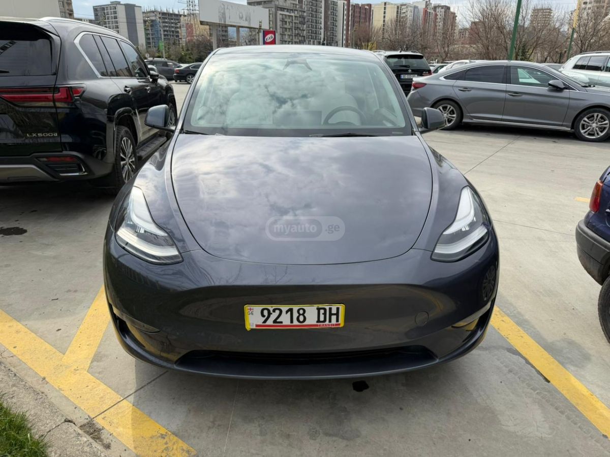 Tesla Model Y - фото 1