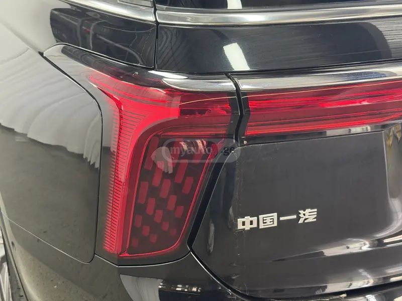 Hongqi E-HS9 - фото 10