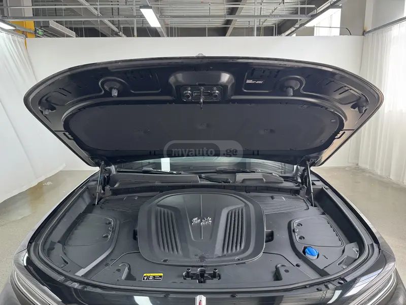 Hongqi E-HS9 - фото 12