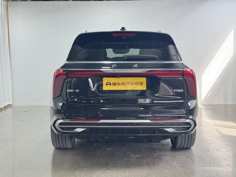 Hongqi E-HS9 - фото 6