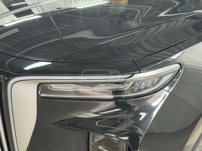 Hongqi E-HS9 - фото 9