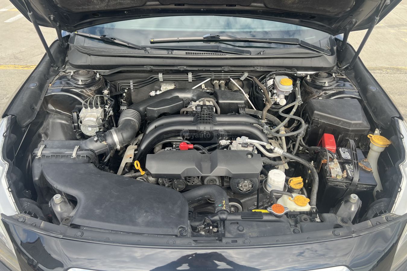 Subaru Outback - фото 6