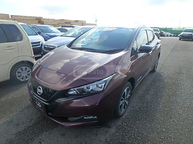 Nissan Leaf - фото 1