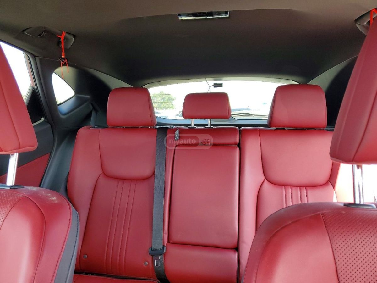 Lexus NX 200 2024 — миниатюра 10