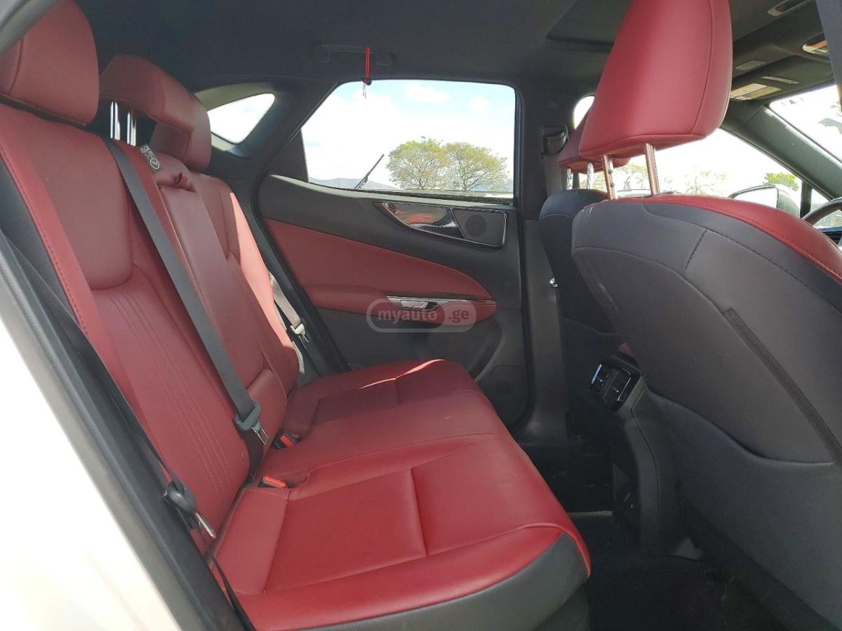 Lexus NX 200 2024 — миниатюра 11