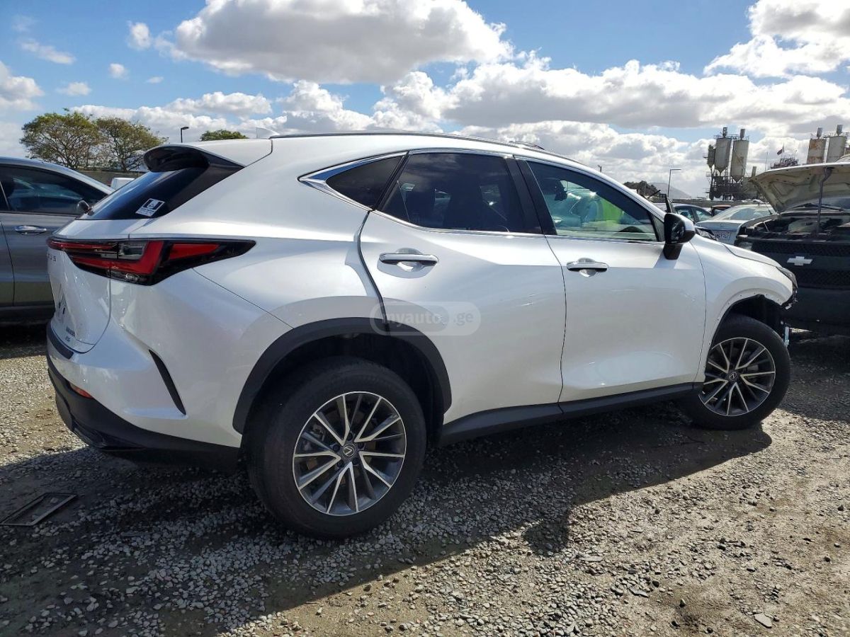Lexus NX 200 2024 — миниатюра 3