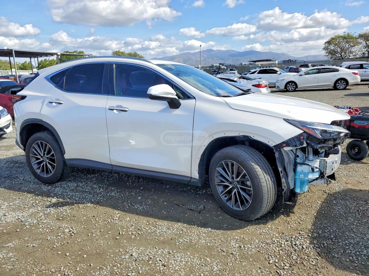 Lexus NX 200 2024 — миниатюра 4