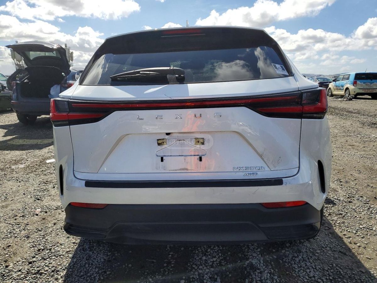 Lexus NX 200 2024 — миниатюра 6