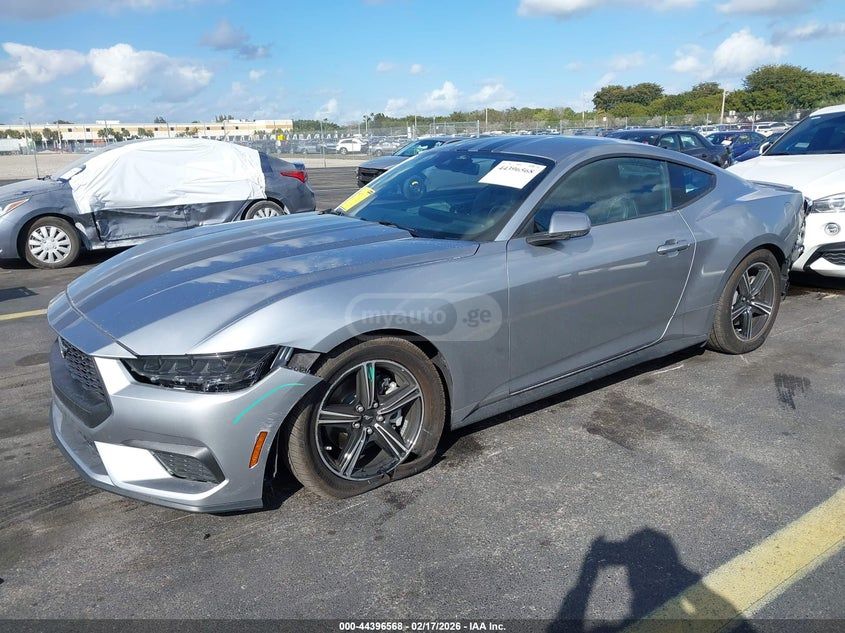 Ford Mustang 2025 — миниатюра 1