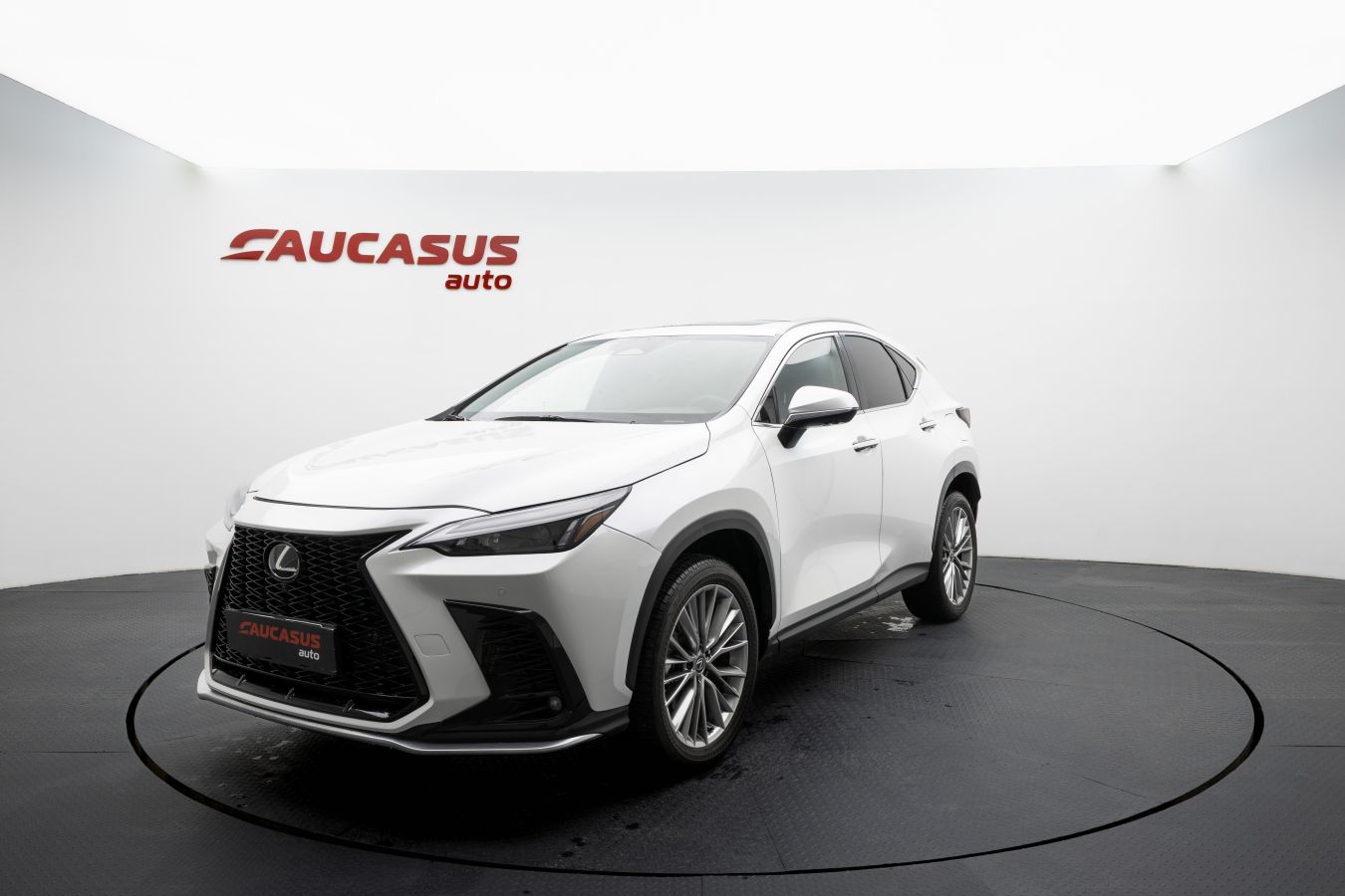 Lexus NX 200 Lexus NX 2025 — миниатюра 1
