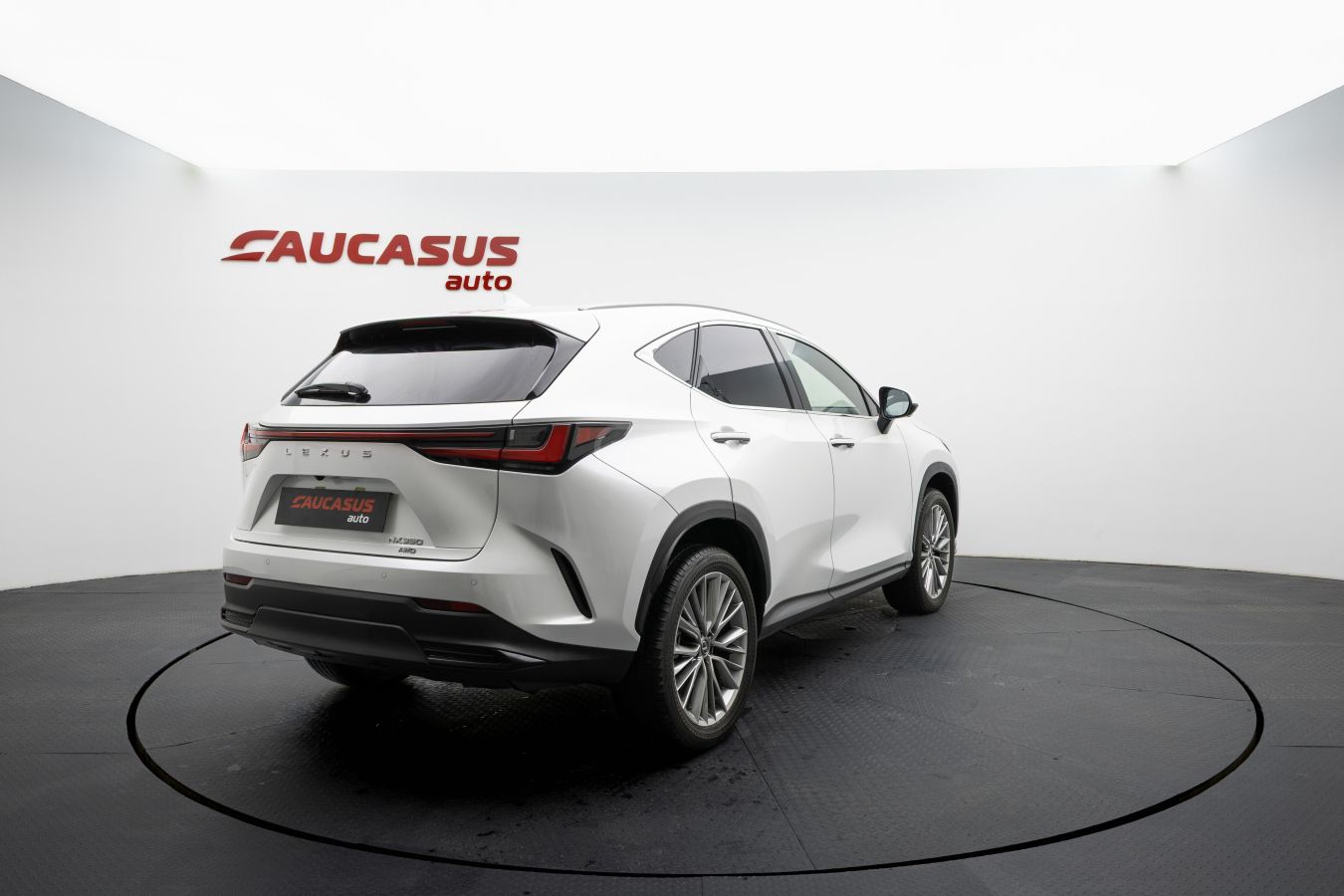 Lexus NX 200 Lexus NX 2025 — миниатюра 4