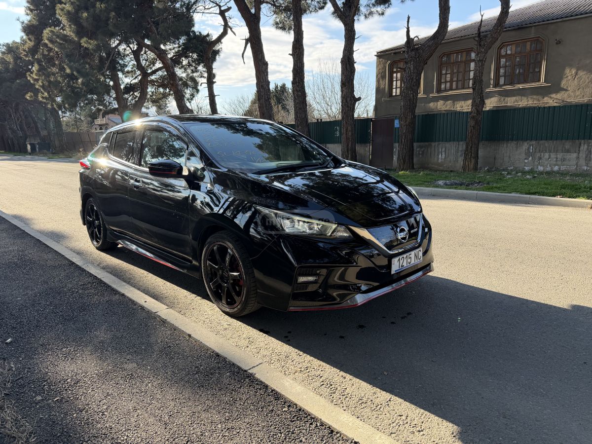 Nissan Leaf - фото 1