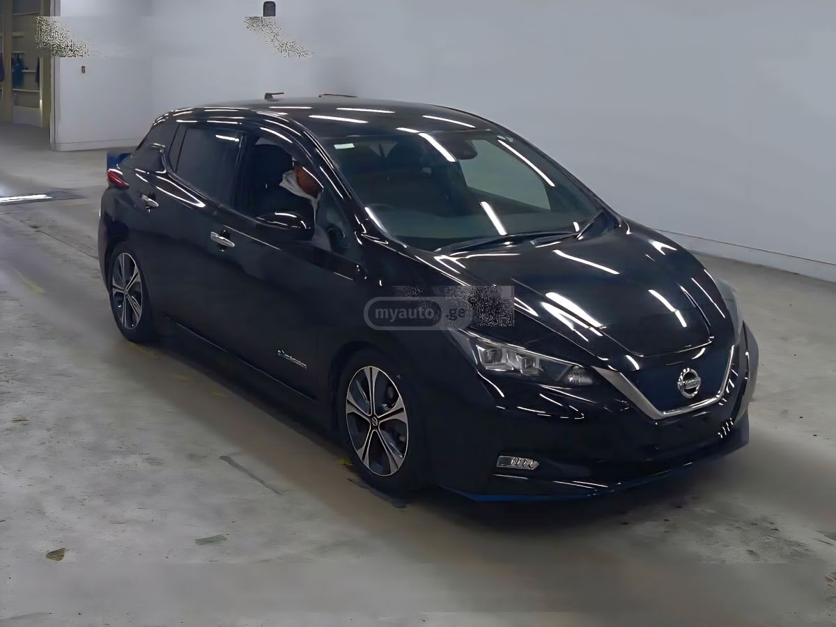 Nissan Leaf - фото 1