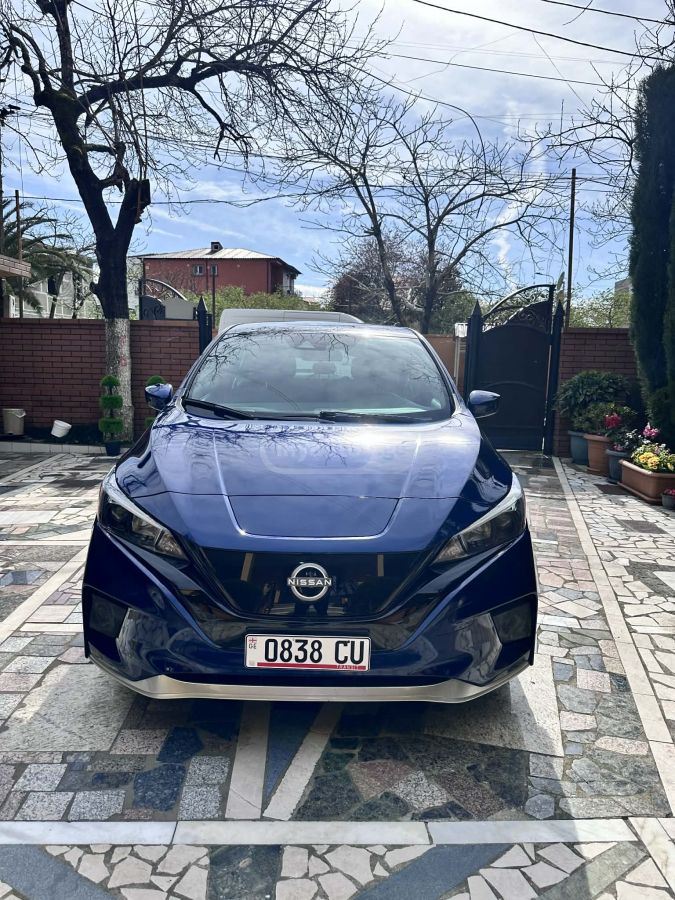 Nissan Leaf - фото 1