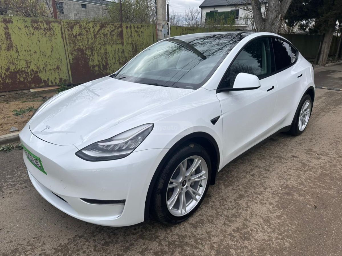 Tesla Model Y - фото 1