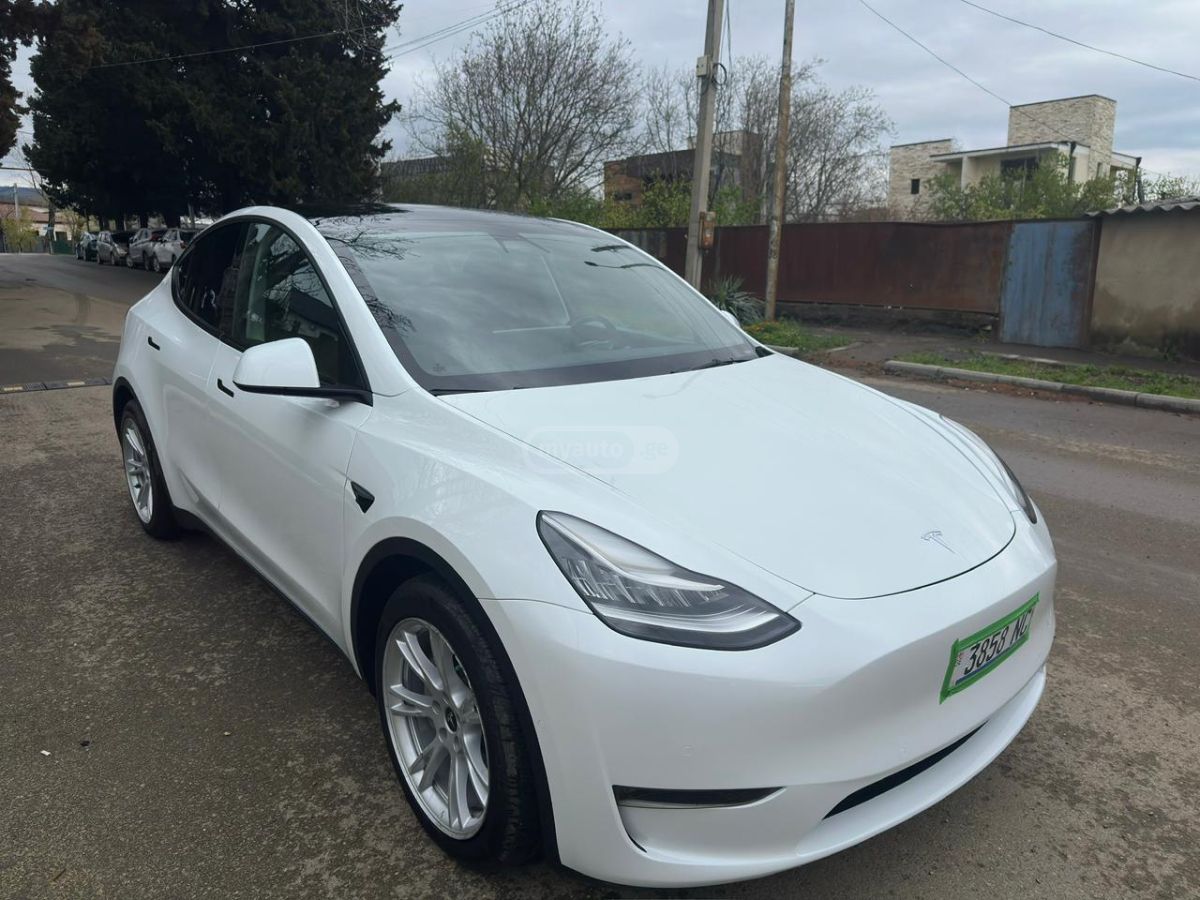 Tesla Model Y - фото 2