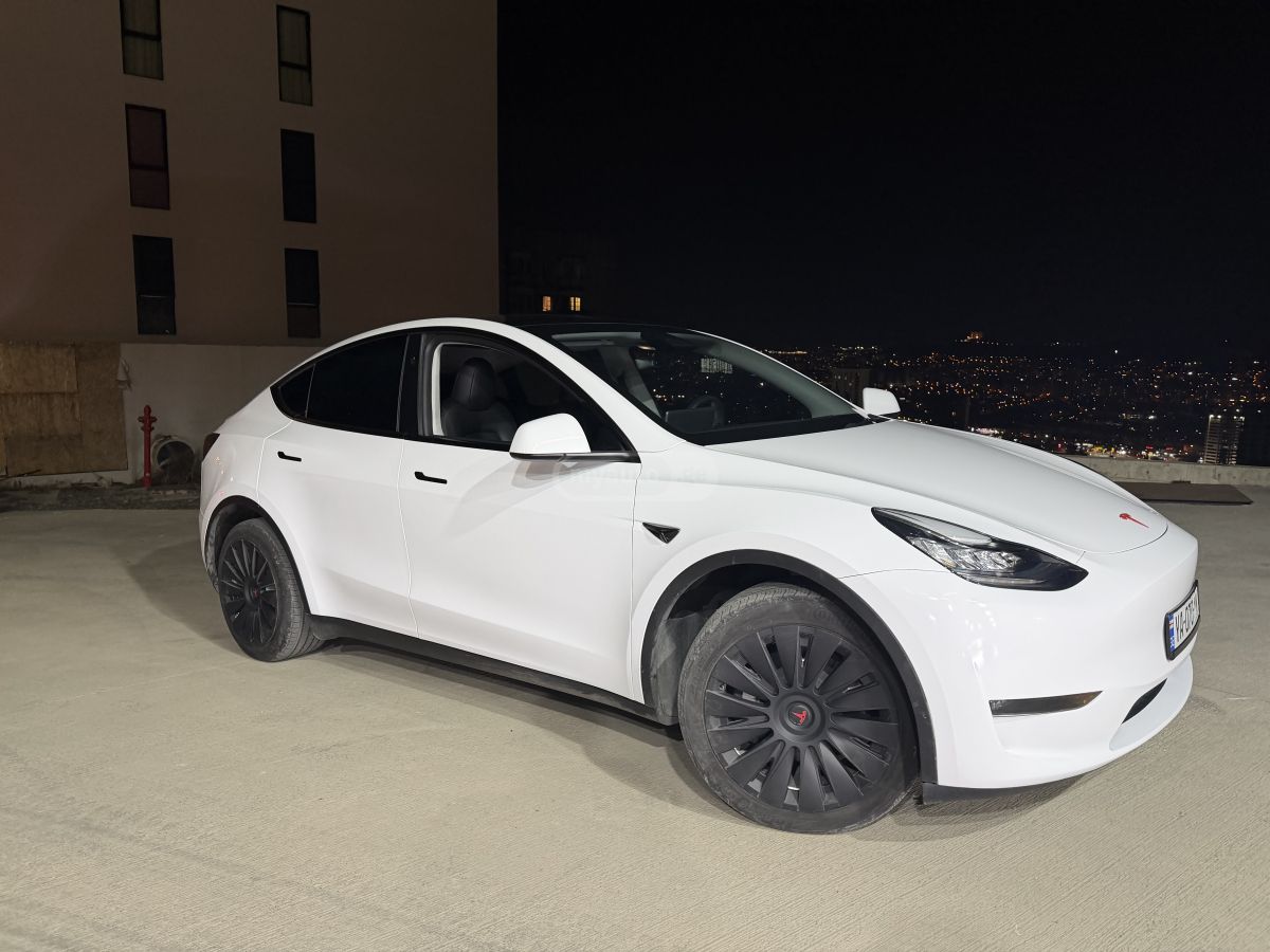 Tesla Long Range Dual Motor — миниатюра 1