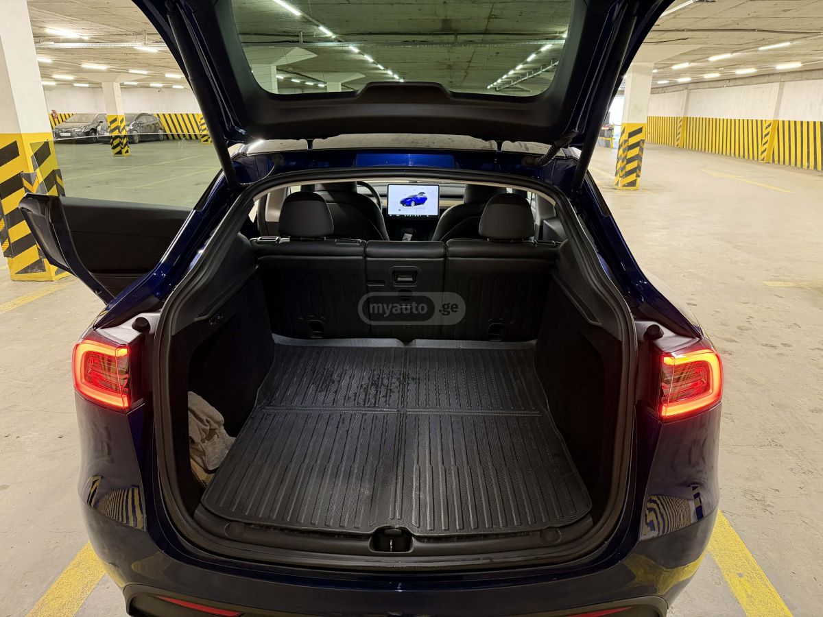 Tesla Long Range Dual Motor — миниатюра 10