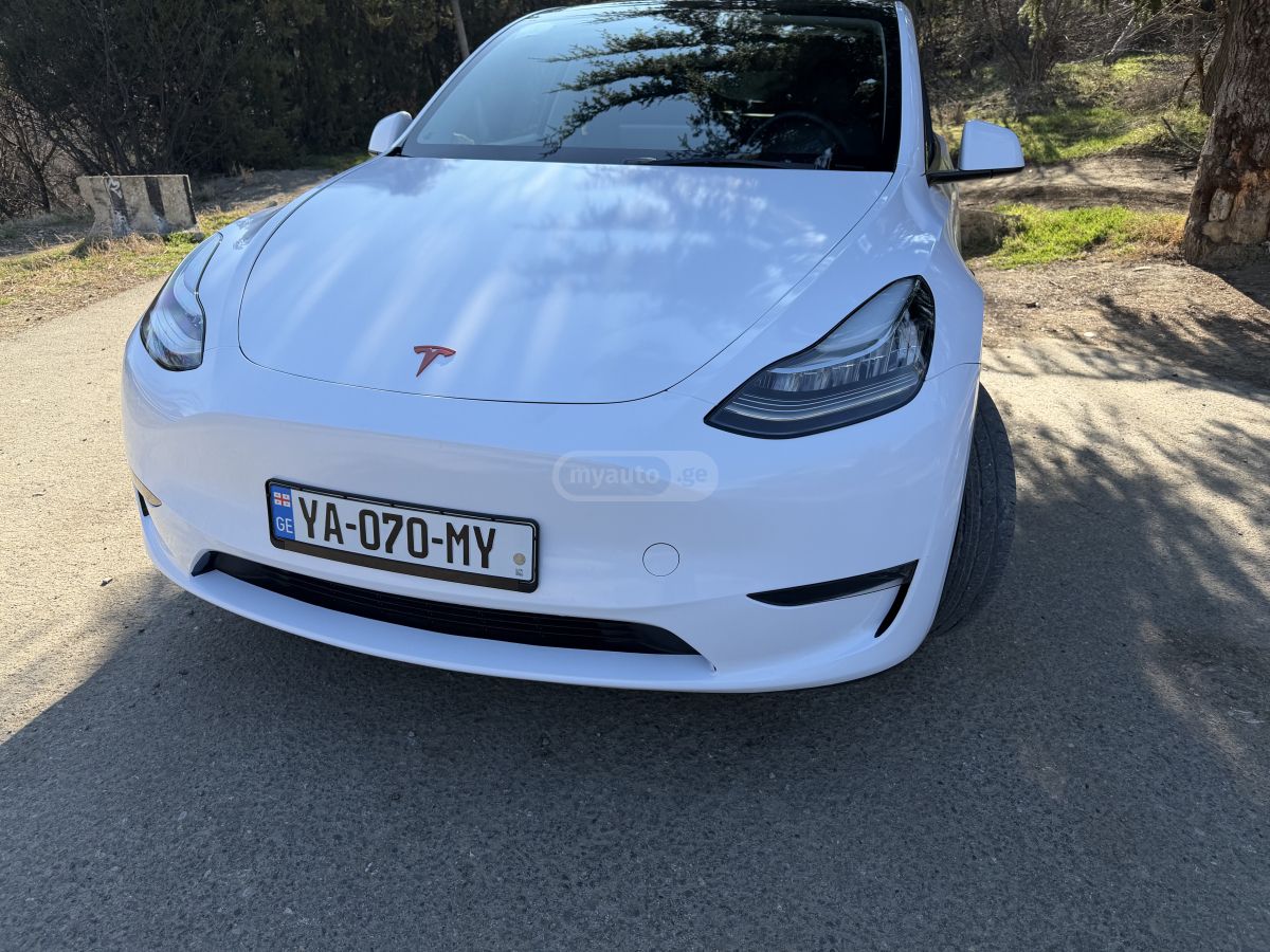 Tesla Long Range Dual Motor — миниатюра 2