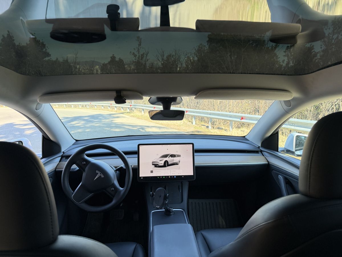 Tesla Long Range Dual Motor — миниатюра 4