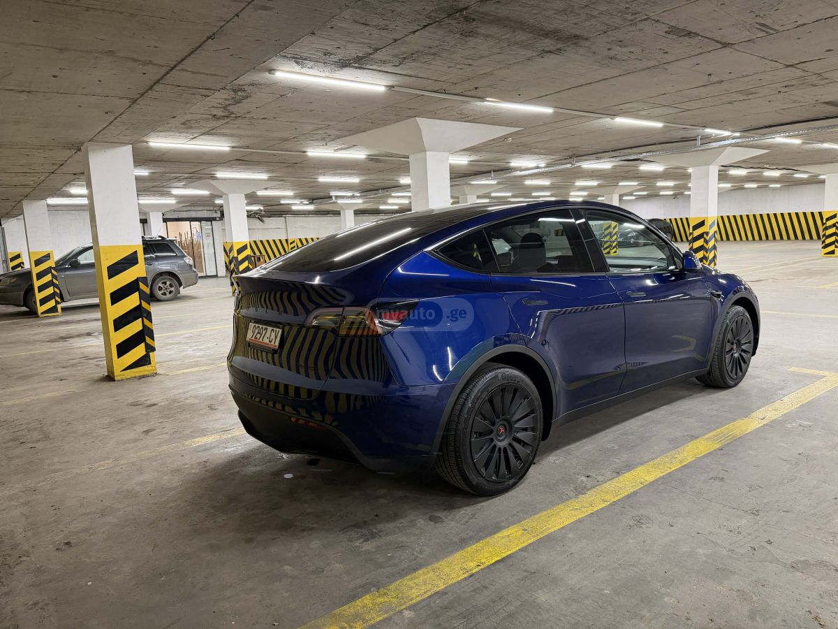 Tesla Long Range Dual Motor — миниатюра 7