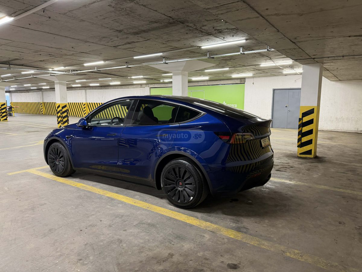 Tesla Long Range Dual Motor — миниатюра 8