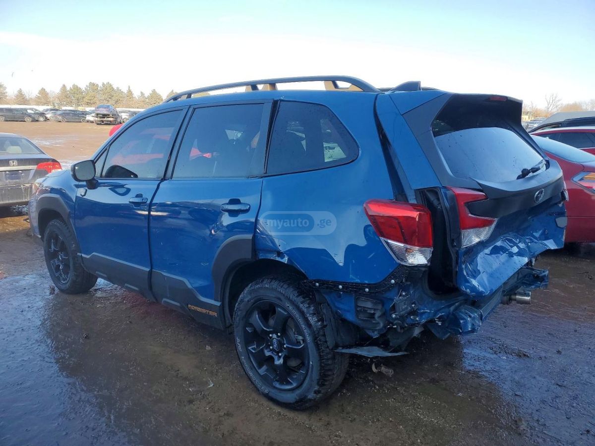 Subaru WILDERNESS — миниатюра 3