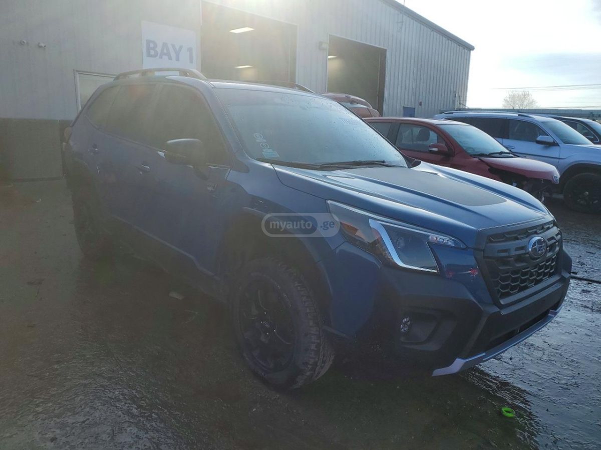 Subaru WILDERNESS — миниатюра 5