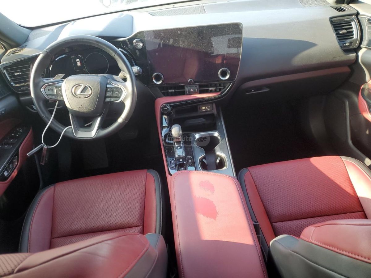Lexus NX 300 2023 — миниатюра 12