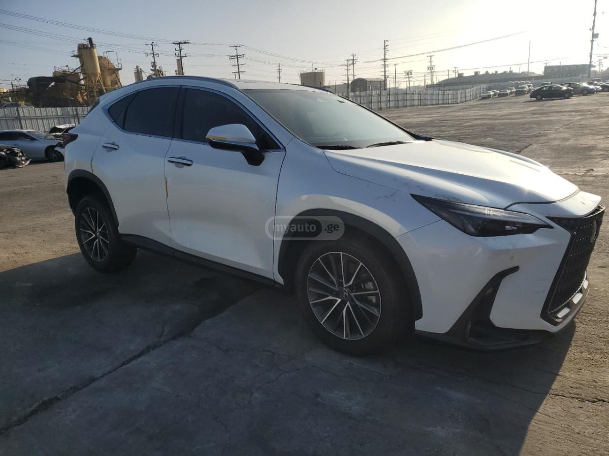 Lexus NX 300 2023 — миниатюра 2