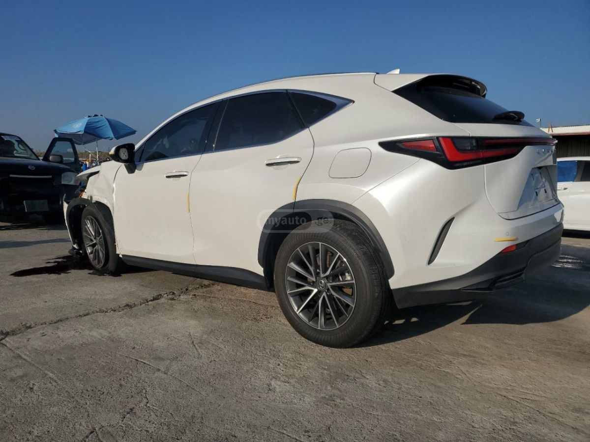 Lexus NX 300 2023 — миниатюра 4