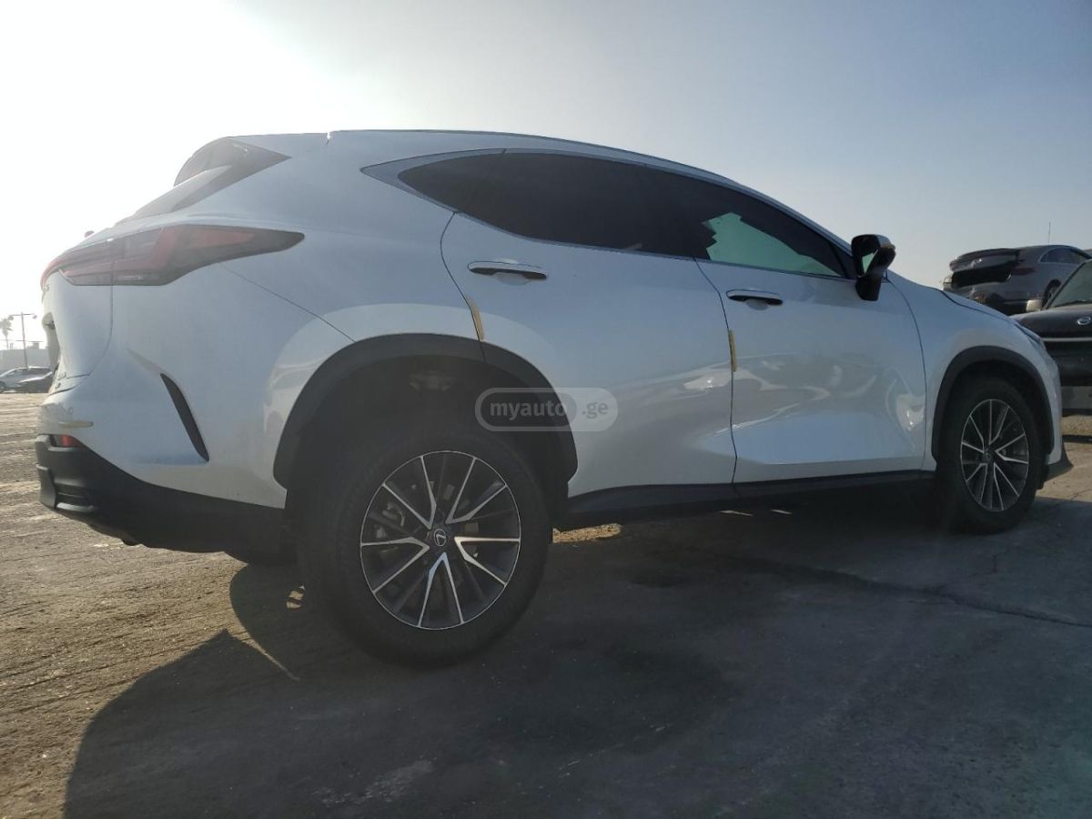Lexus NX 300 2023 — миниатюра 5