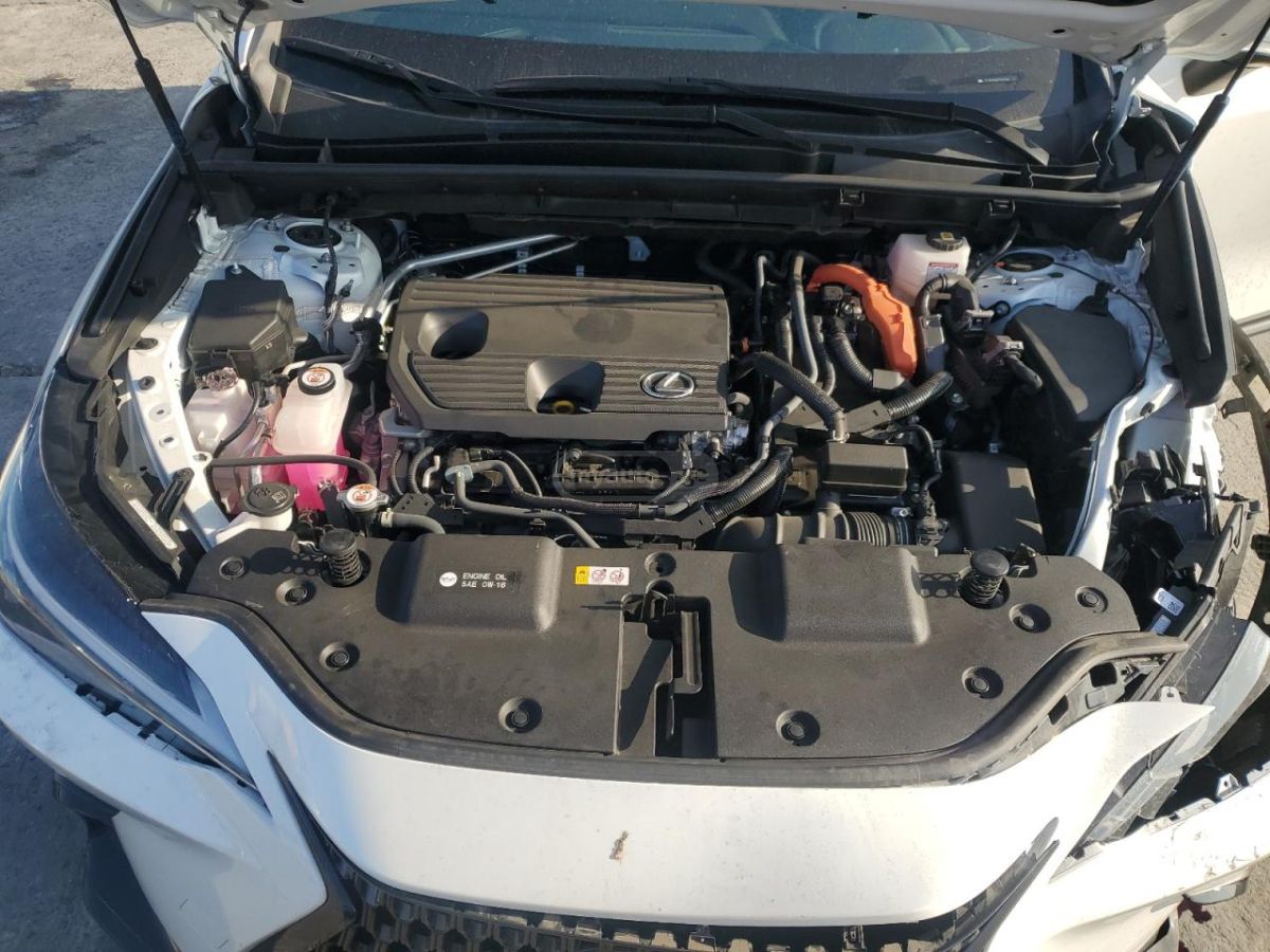 Lexus NX 300 2023 — миниатюра 7