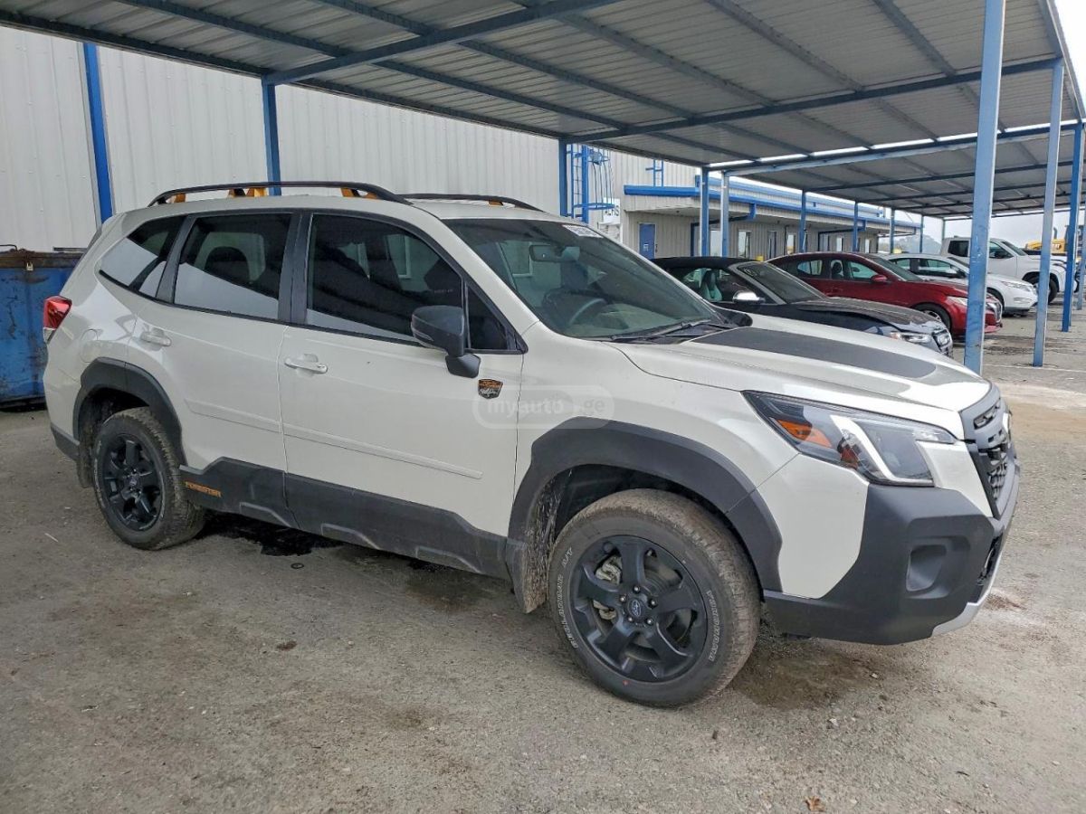 Subaru Wilderness — миниатюра 1