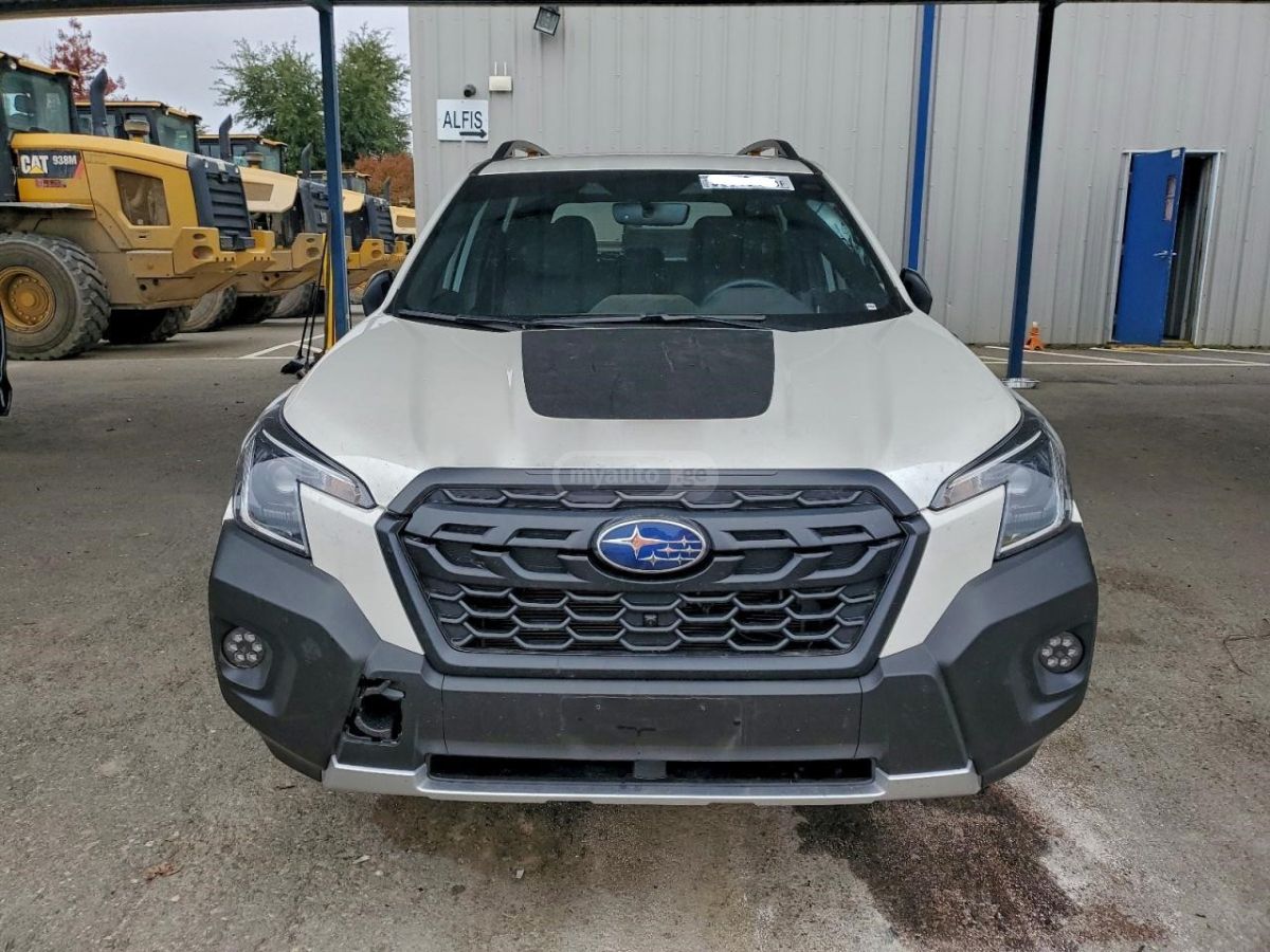 Subaru Wilderness — миниатюра 2