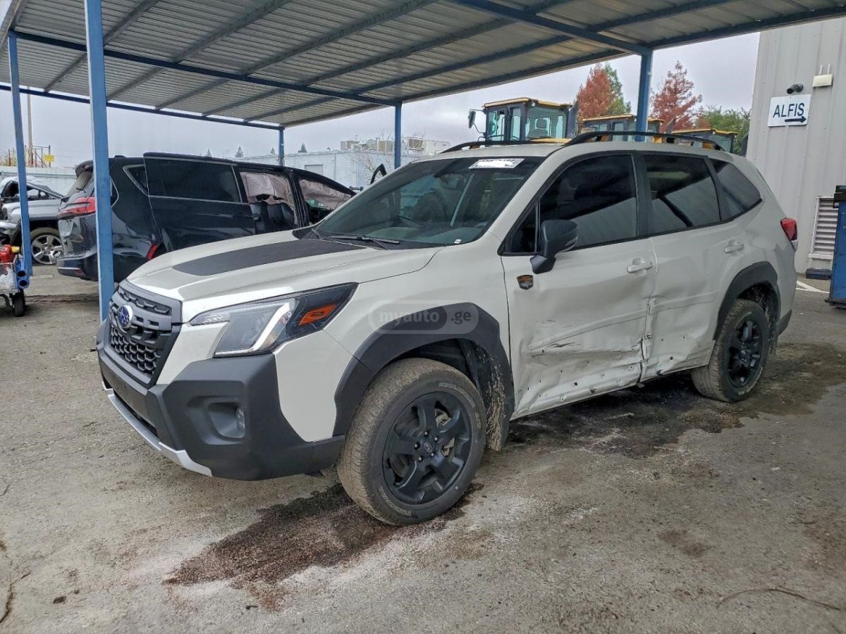 Subaru Wilderness — миниатюра 3