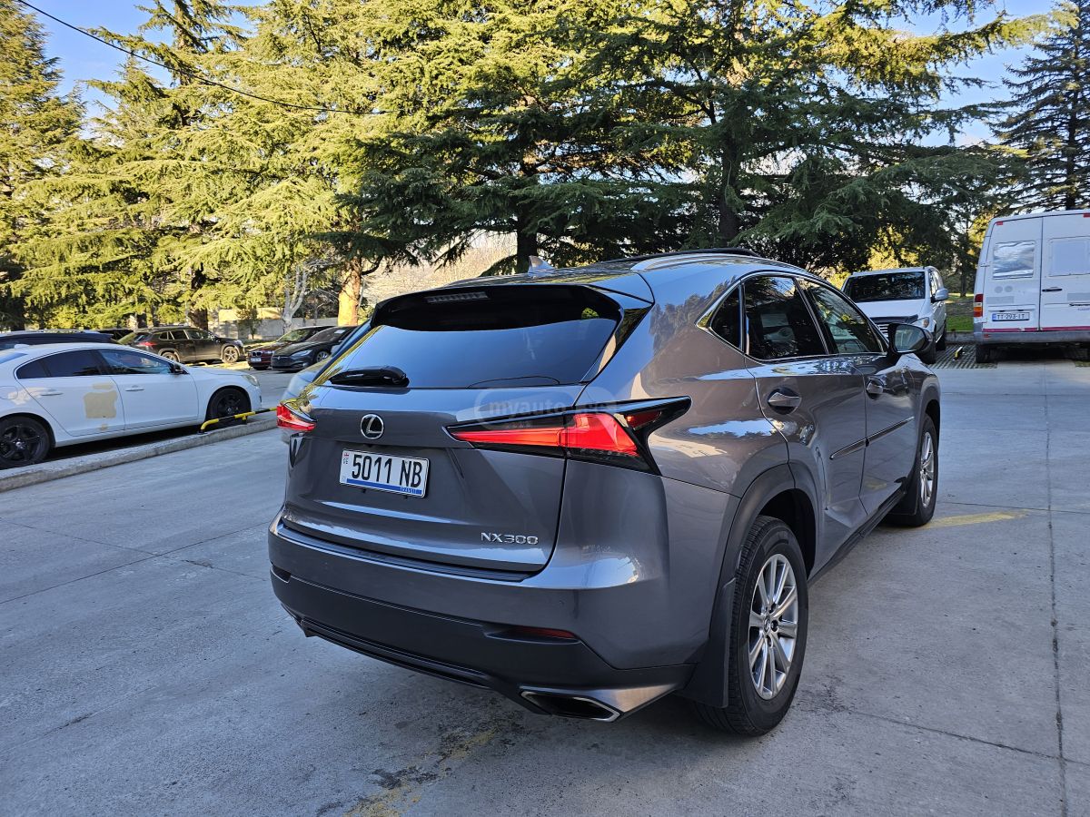 Lexus NX 300 - фото 13