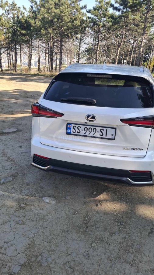 Lexus NX 300 - фото 12