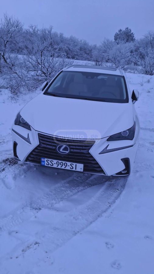 Lexus NX 300 - фото 14