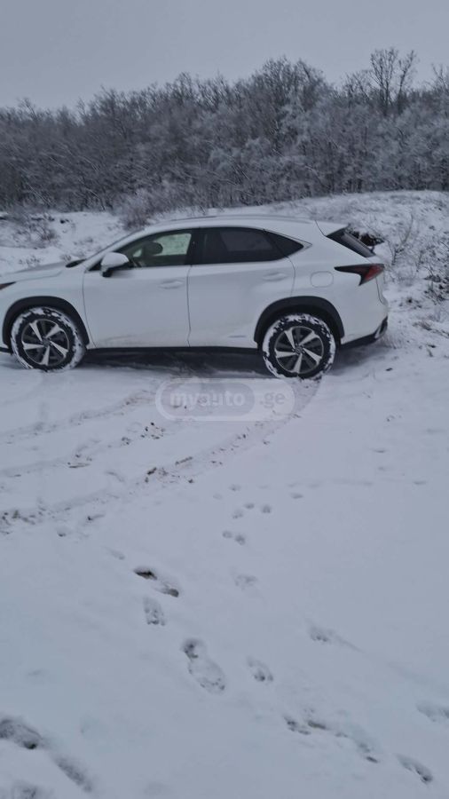 Lexus NX 300 - фото 15