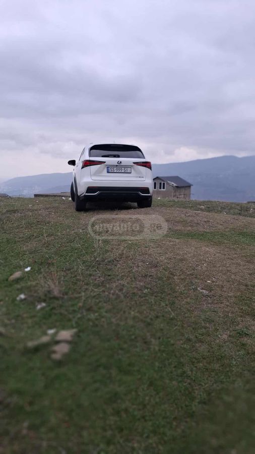 Lexus NX 300 - фото 8