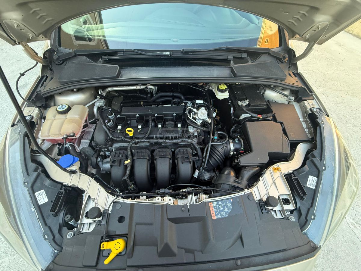 Ford Focus - фото 5