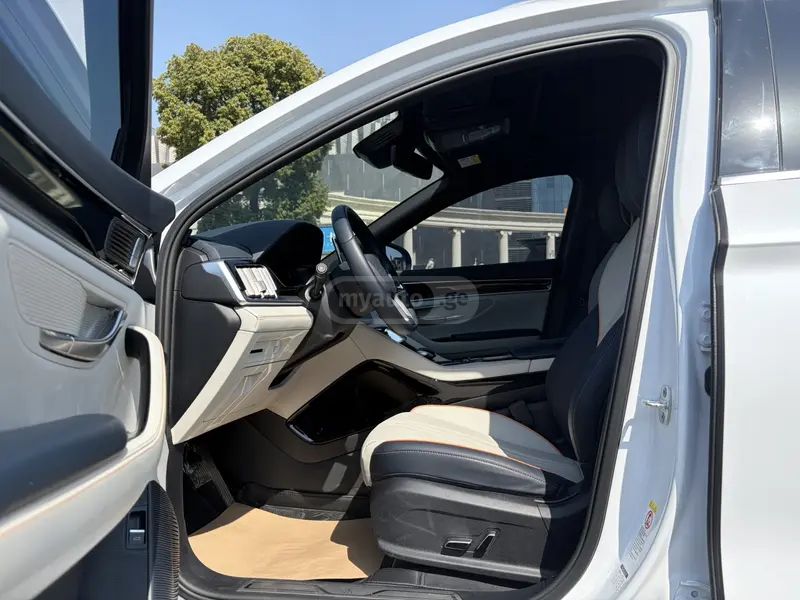 BYD Song Plus 2022 — миниатюра 8