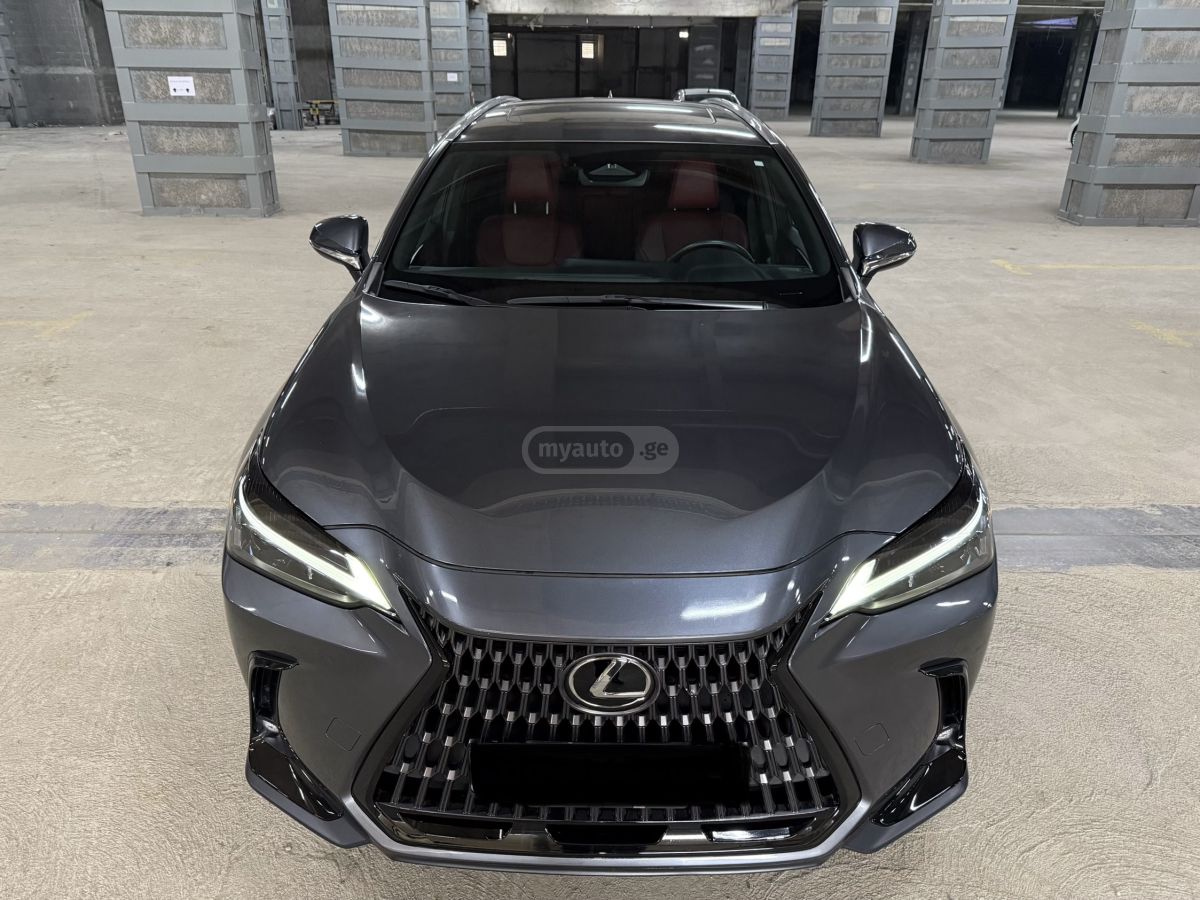 Lexus NX 350 - фото 1