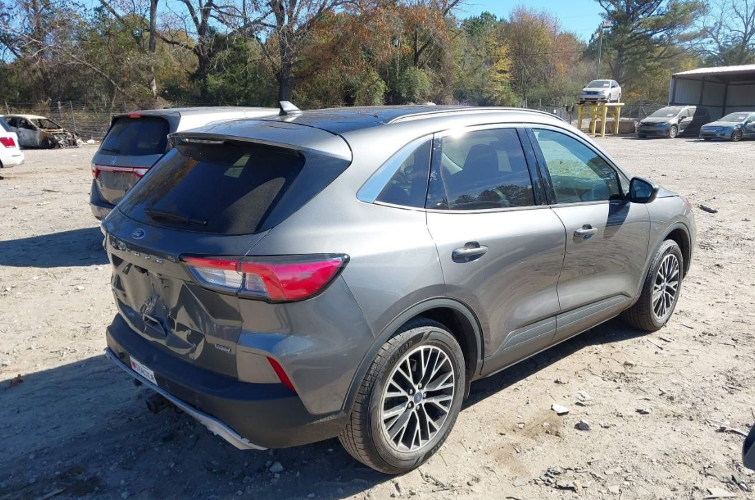 Ford SEL Hybrid 4dr All-Wheel Drive — миниатюра 3