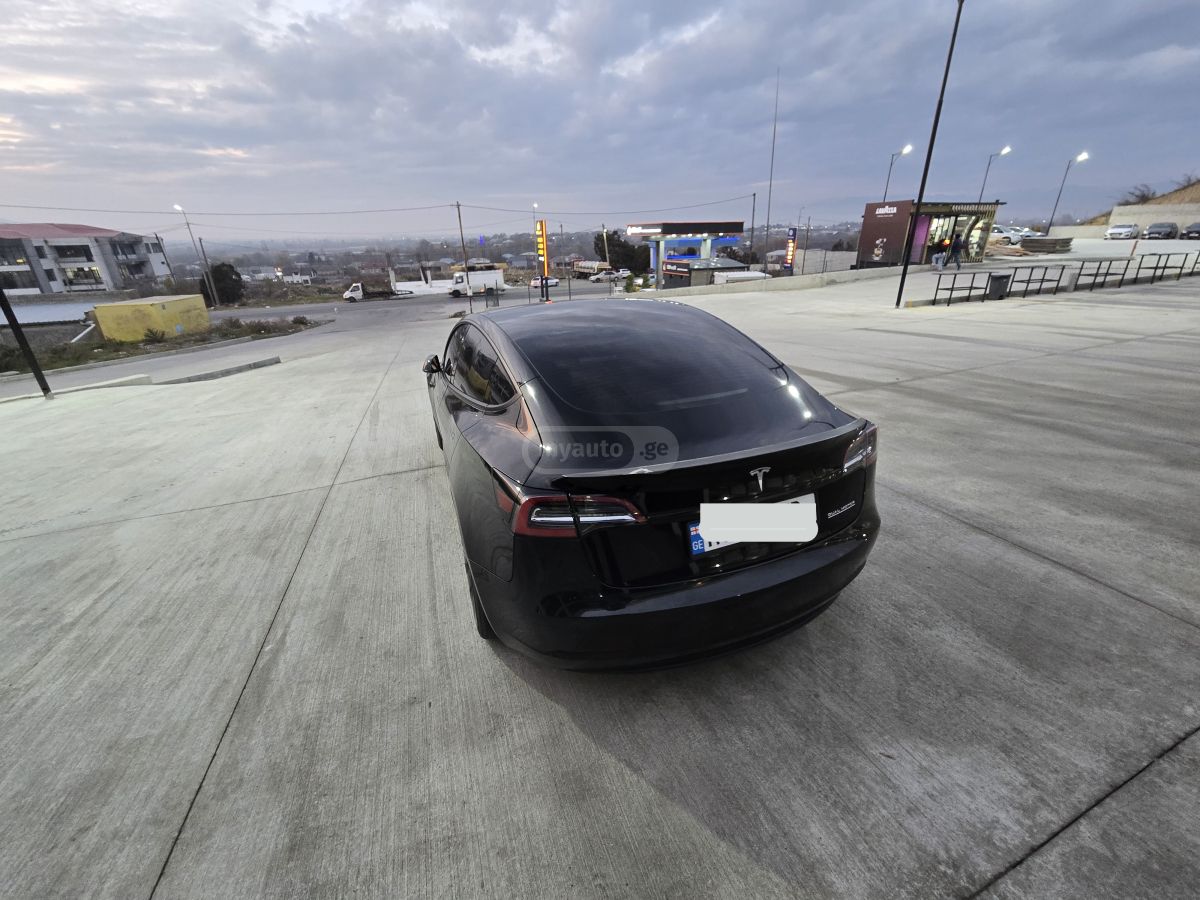 Tesla Performance — миниатюра 5