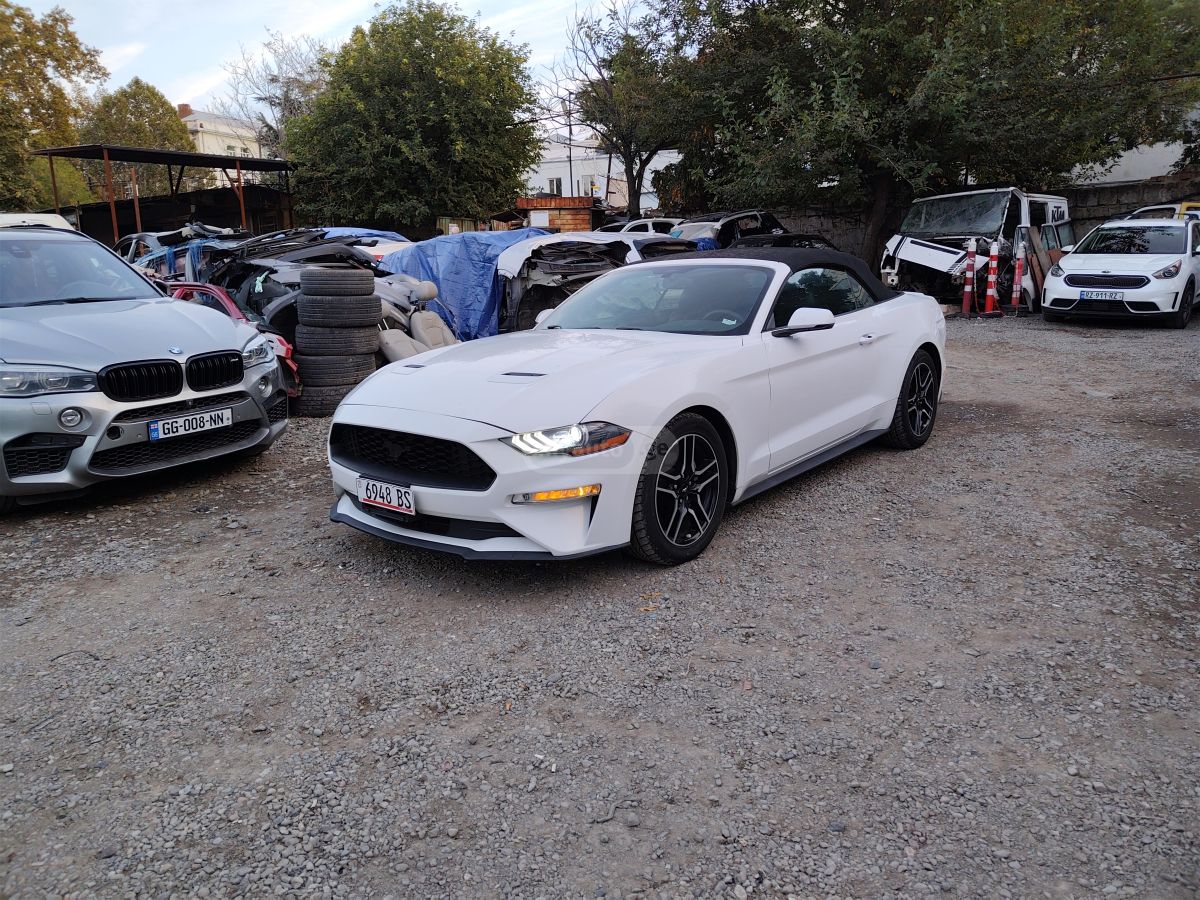 Ford Mustang - фото 1