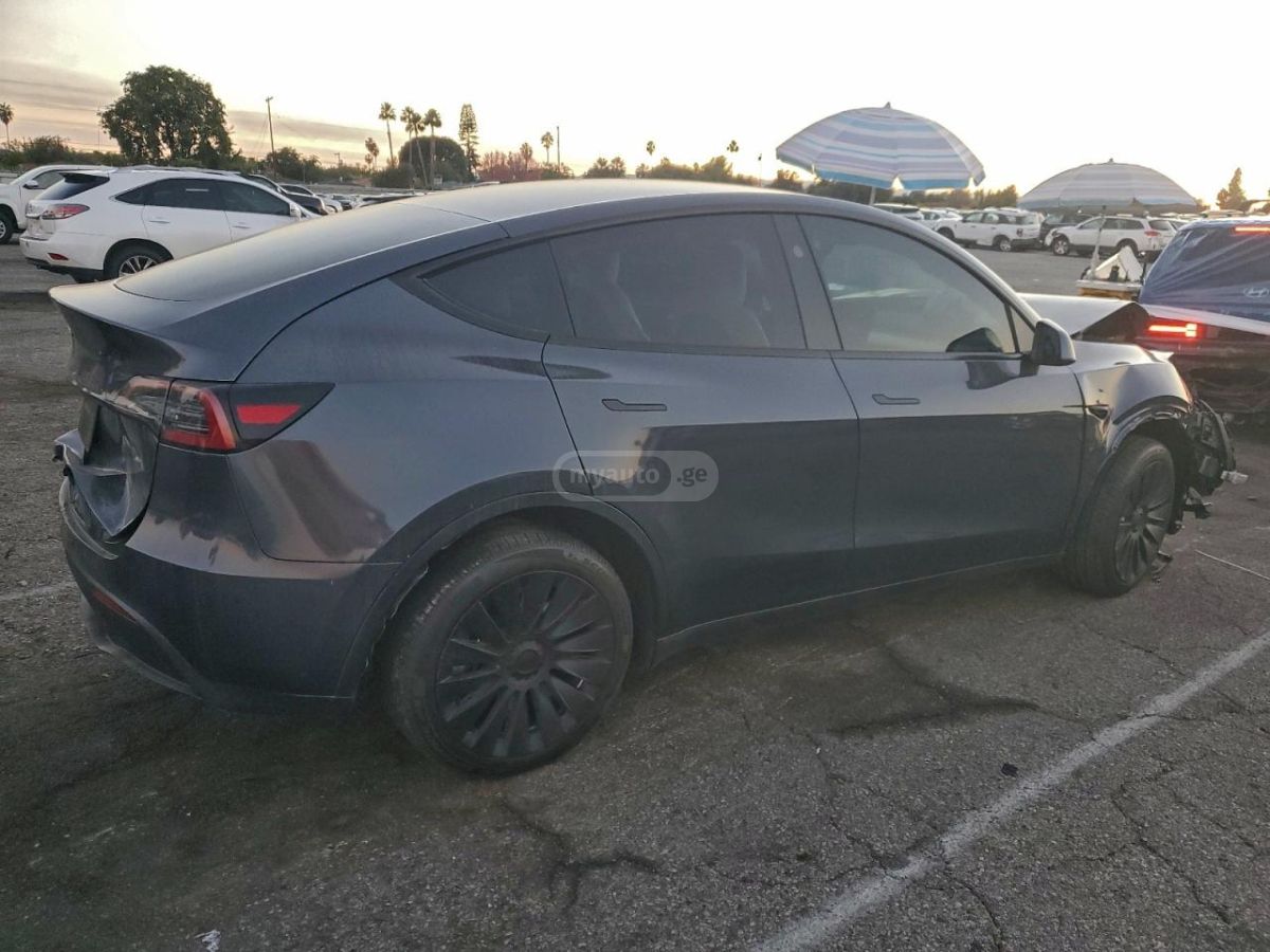 Tesla LONG RANGE DUAL MOTOR — миниатюра 2