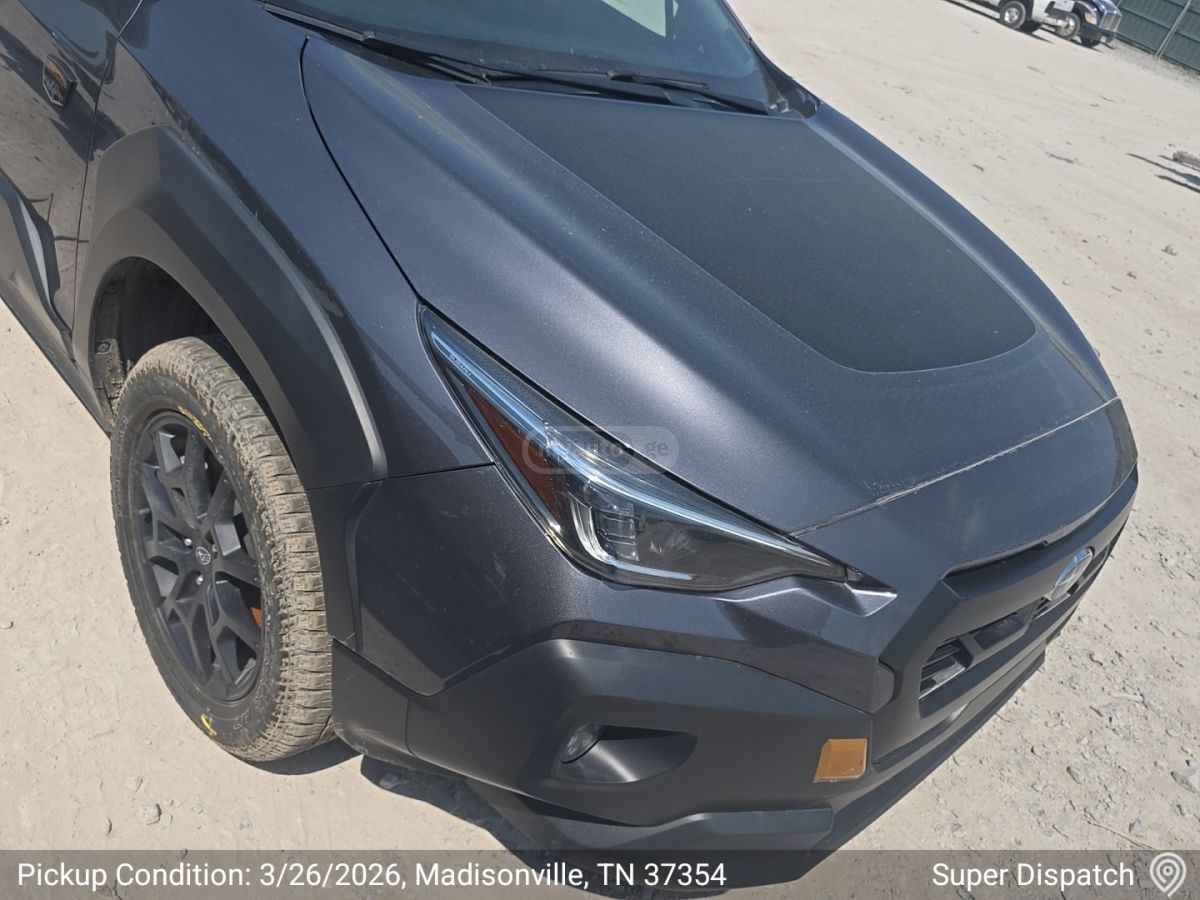 Subaru wilderness — миниатюра 12